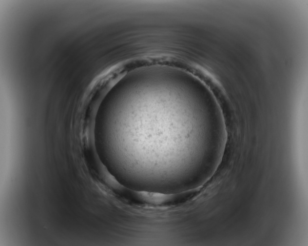 X0000086030920200703301051