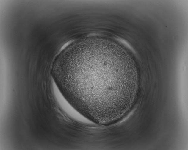 X0000086030921200703301051