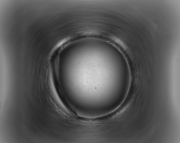 X0000086030922200703301051