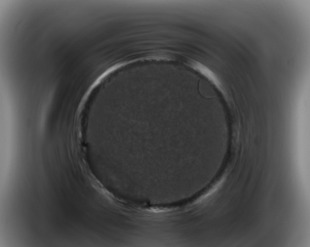 X0000086030923200703301051