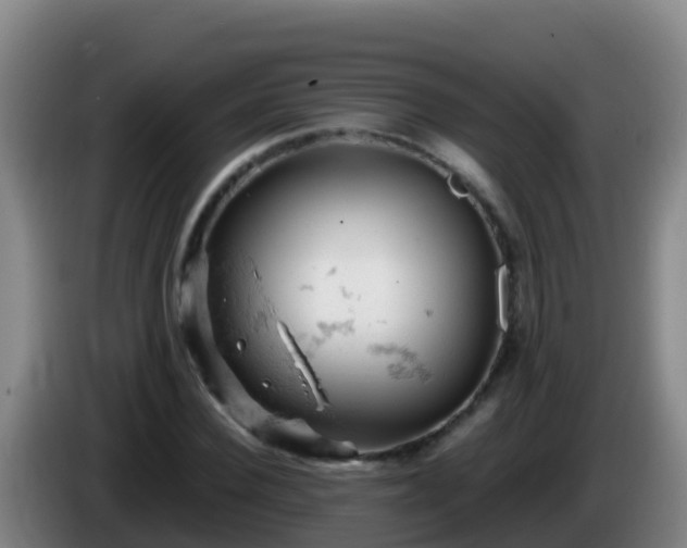 X0000086030924200703301051