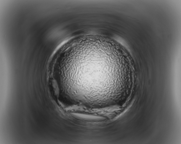 X0000086030925200703301051