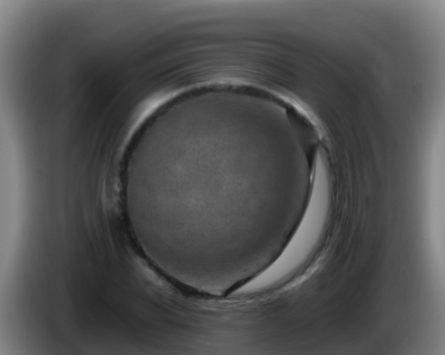 X0000086030926200703301051