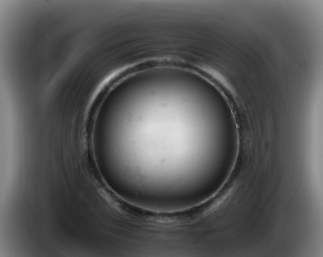 X0000086030927200703301051