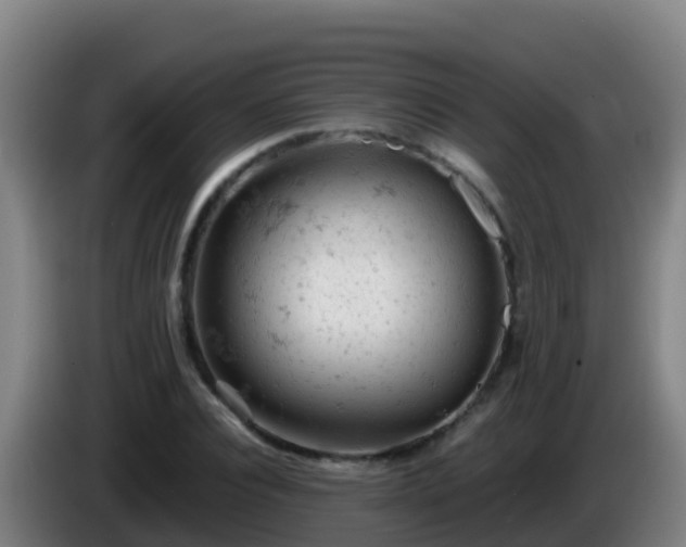 X0000086030928200703301051