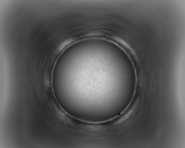 X0000086030929200703301051