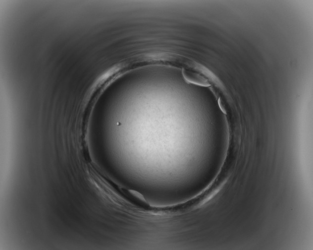 X0000086030930200703301051