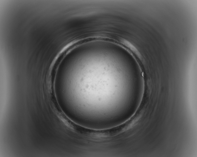 X0000086030931200703301051