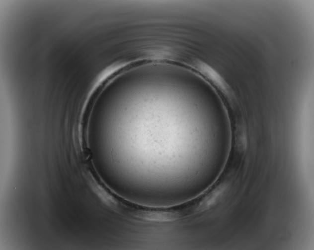 X0000086030932200703301051