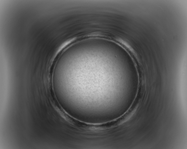 X0000086030933200703301051