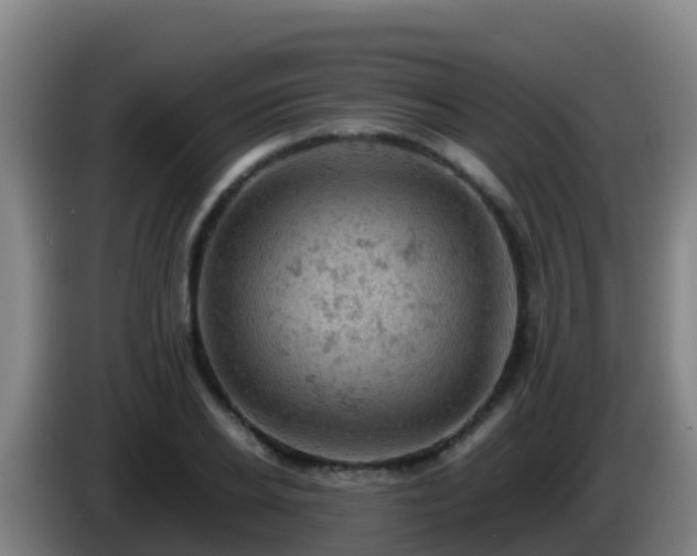 X0000086030934200703301051