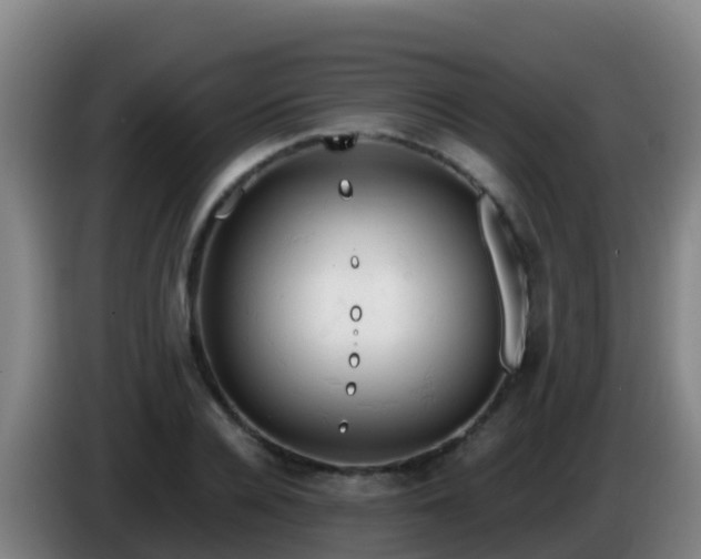 X0000086030936200703301051