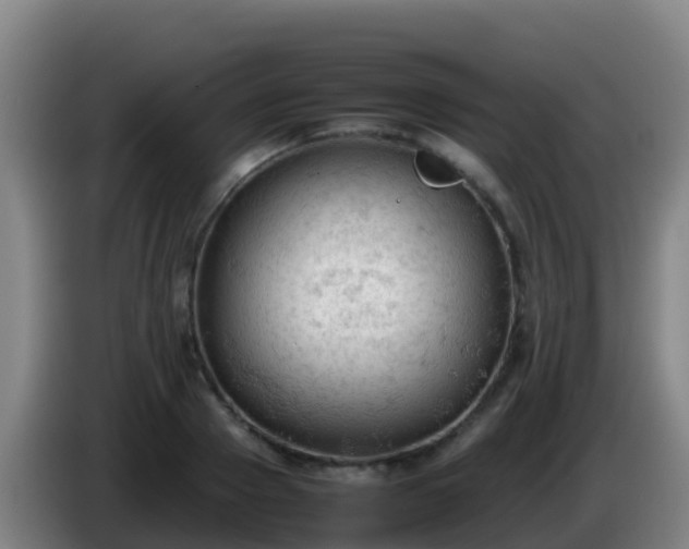 X0000086030937200703301051