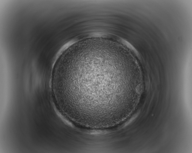 X0000086030938200703301051