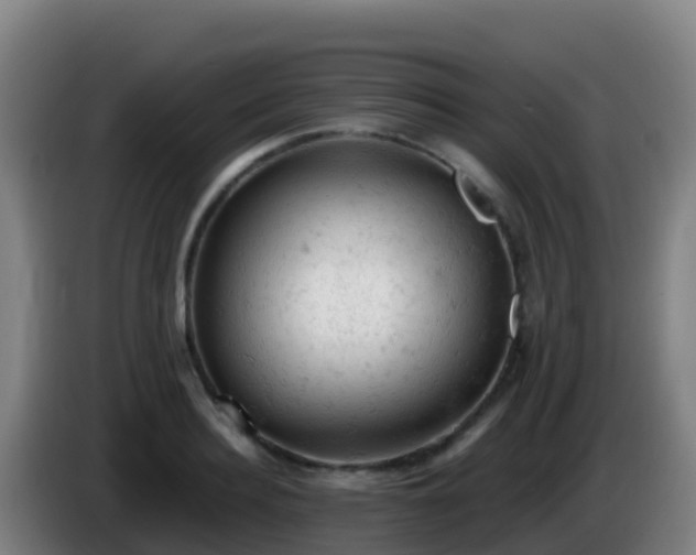 X0000086030940200703301051