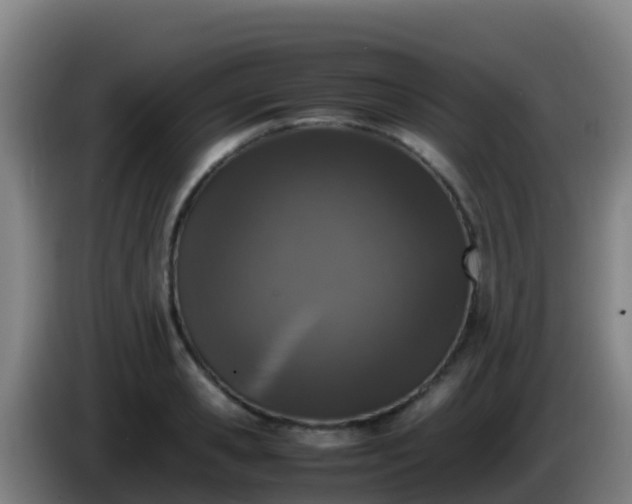 X0000086030941200703301051