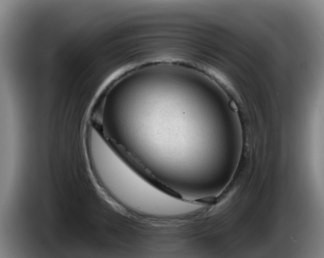 X0000086030942200703301051