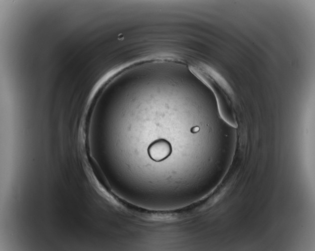 X0000086030944200703301051