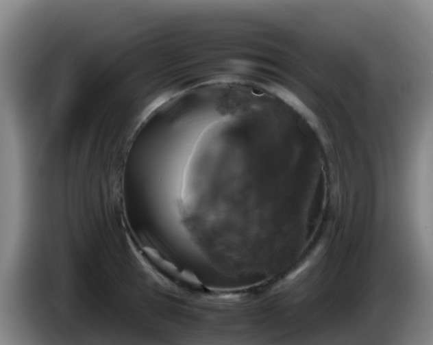 X0000086030945200703301051