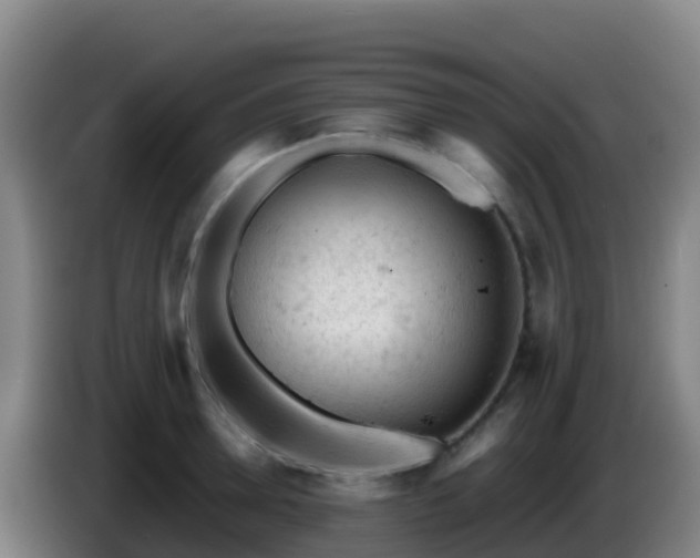 X0000086030946200703301051