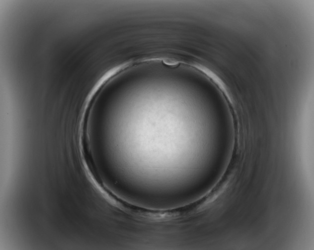 X0000086030949200703301051