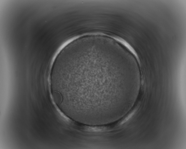 X0000086030951200703301051