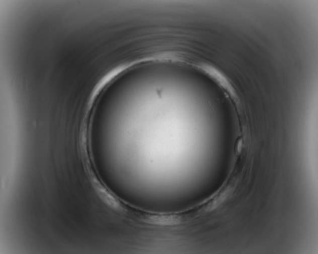 X0000086030952200703301051