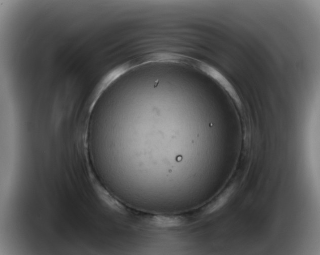 X0000086030954200703301051