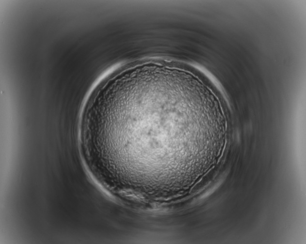 X0000086030957200703301051