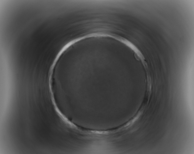 X0000086030958200703301051