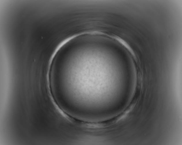 X0000086030959200703301051