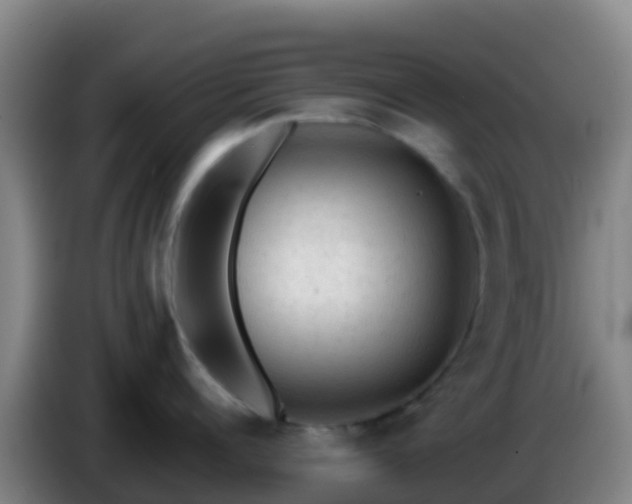 X0000086030960200703301051