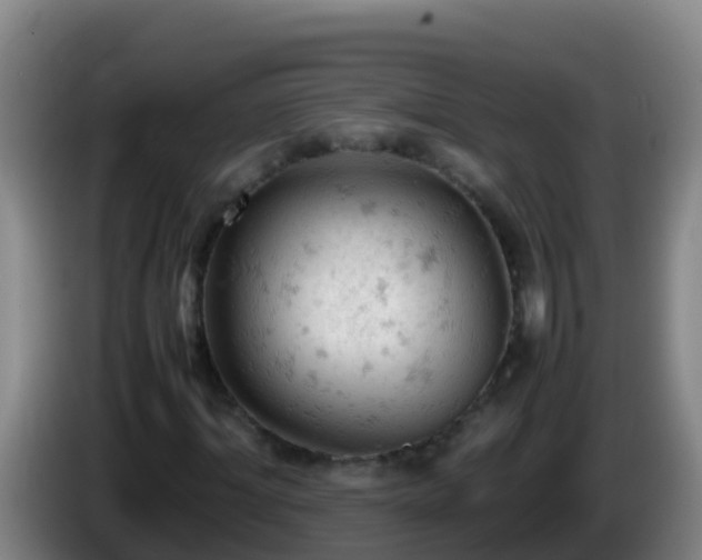 X0000086030964200703301050