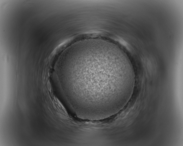 X0000086030967200703301050