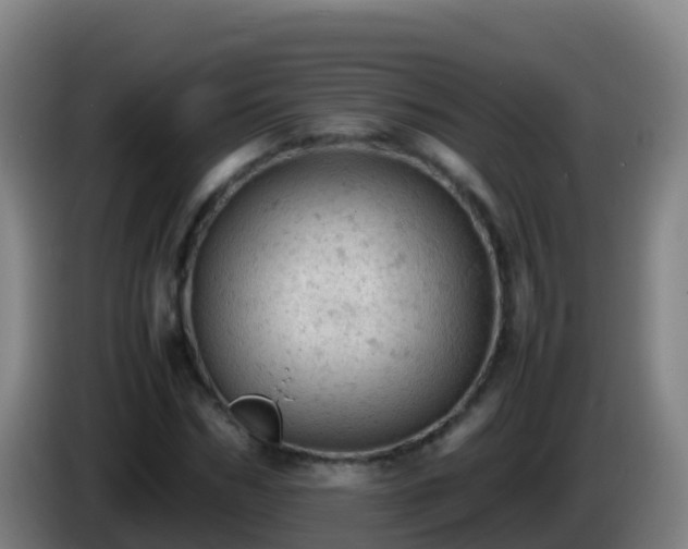 X0000086030970200703301050