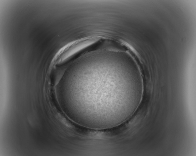 X0000086030971200703301050