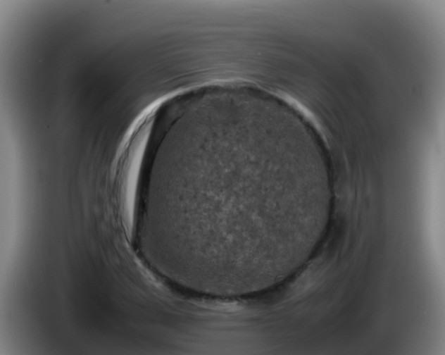 X0000086030975200703301050