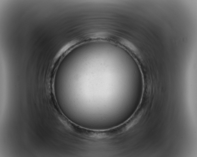 X0000086030978200703301050