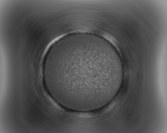 X0000086030979200703301050
