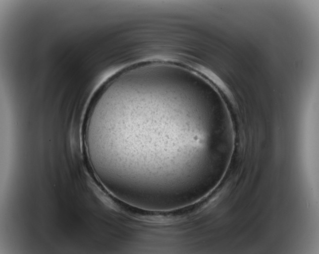 X0000086030980200703301050