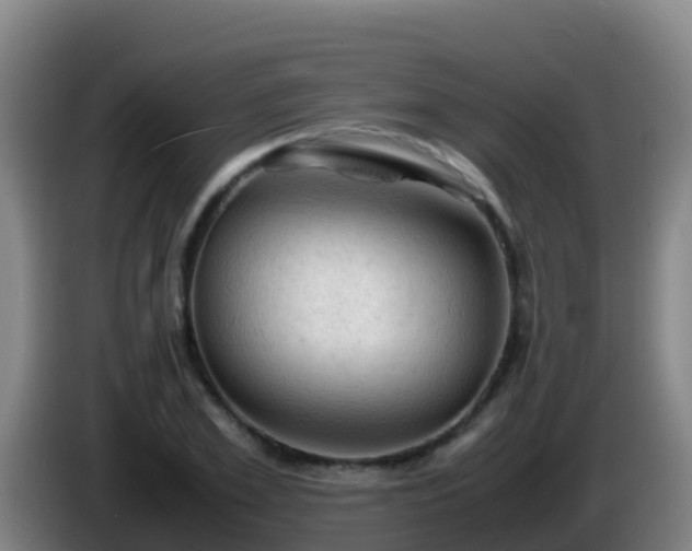 X0000086030981200703301050