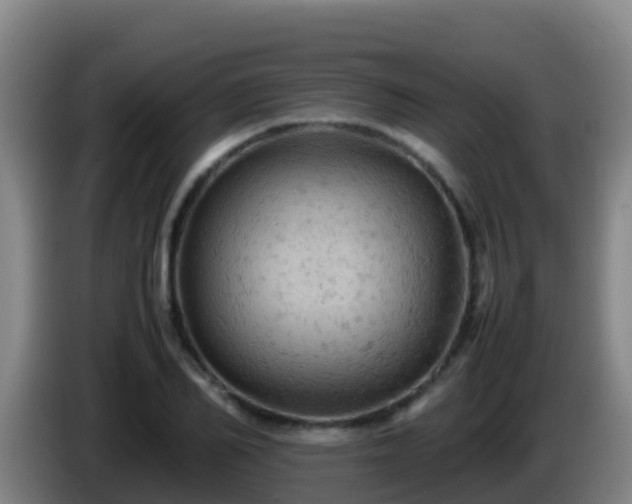 X0000086030982200703301050