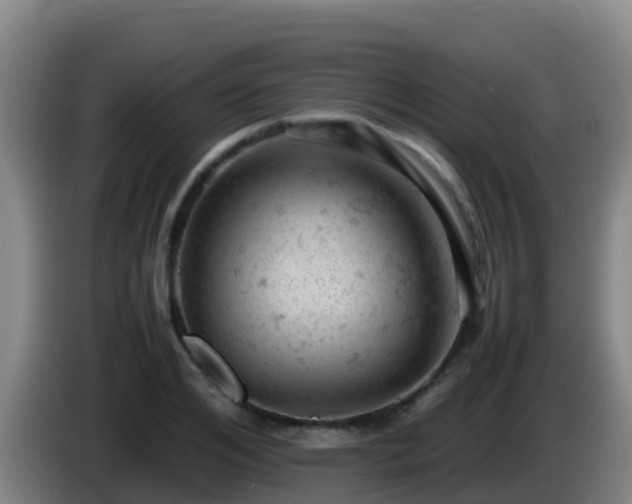 X0000086030984200703301050