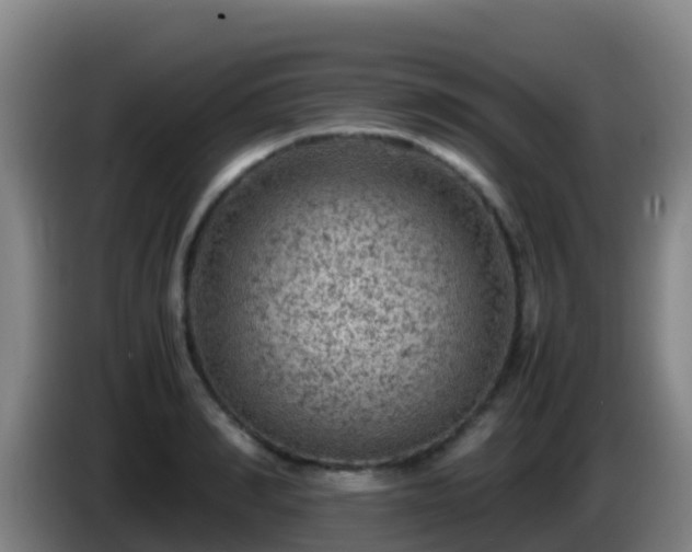X0000086030990200703301050