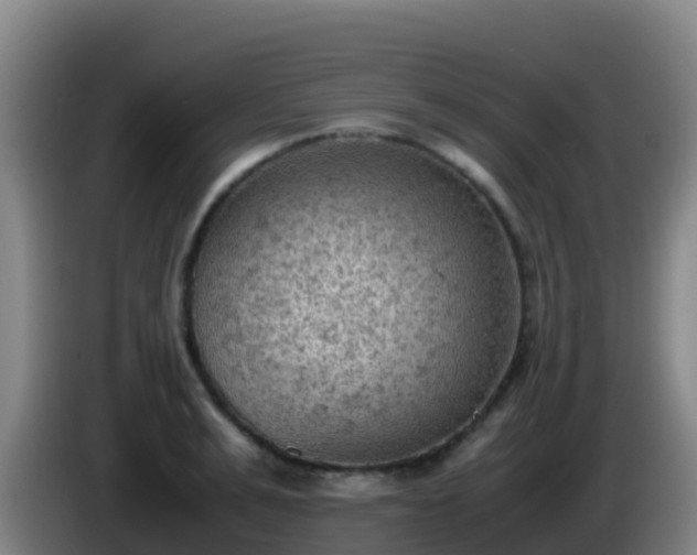 X0000086030991200703301050