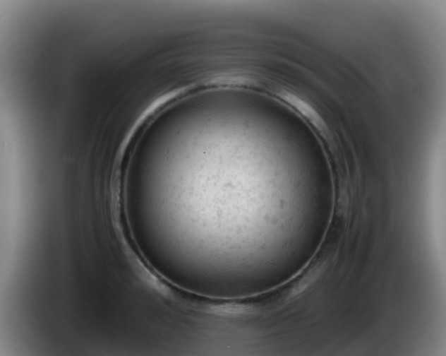 X0000086030992200703301050