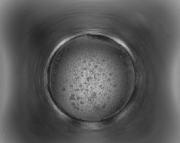 X0000086030999200703301050