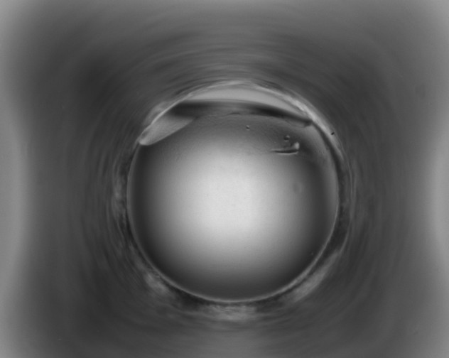X0000086031001200703301050