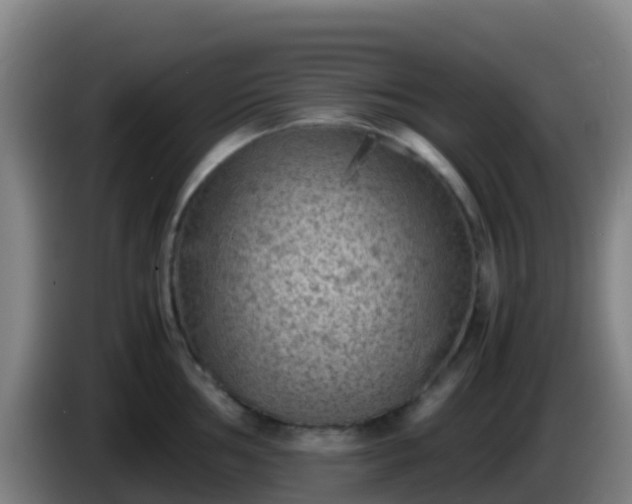 X0000086031002200703301050