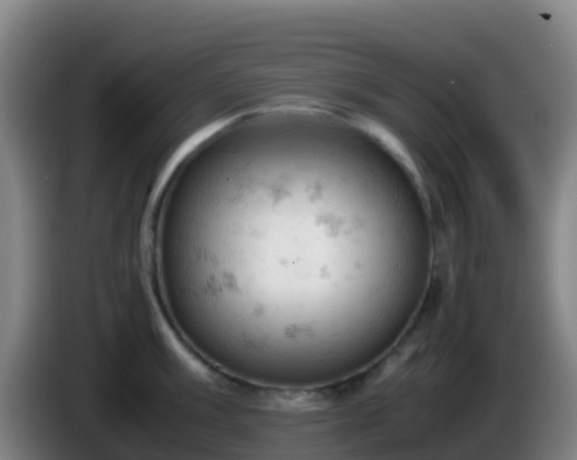 X0000086031003200703301050